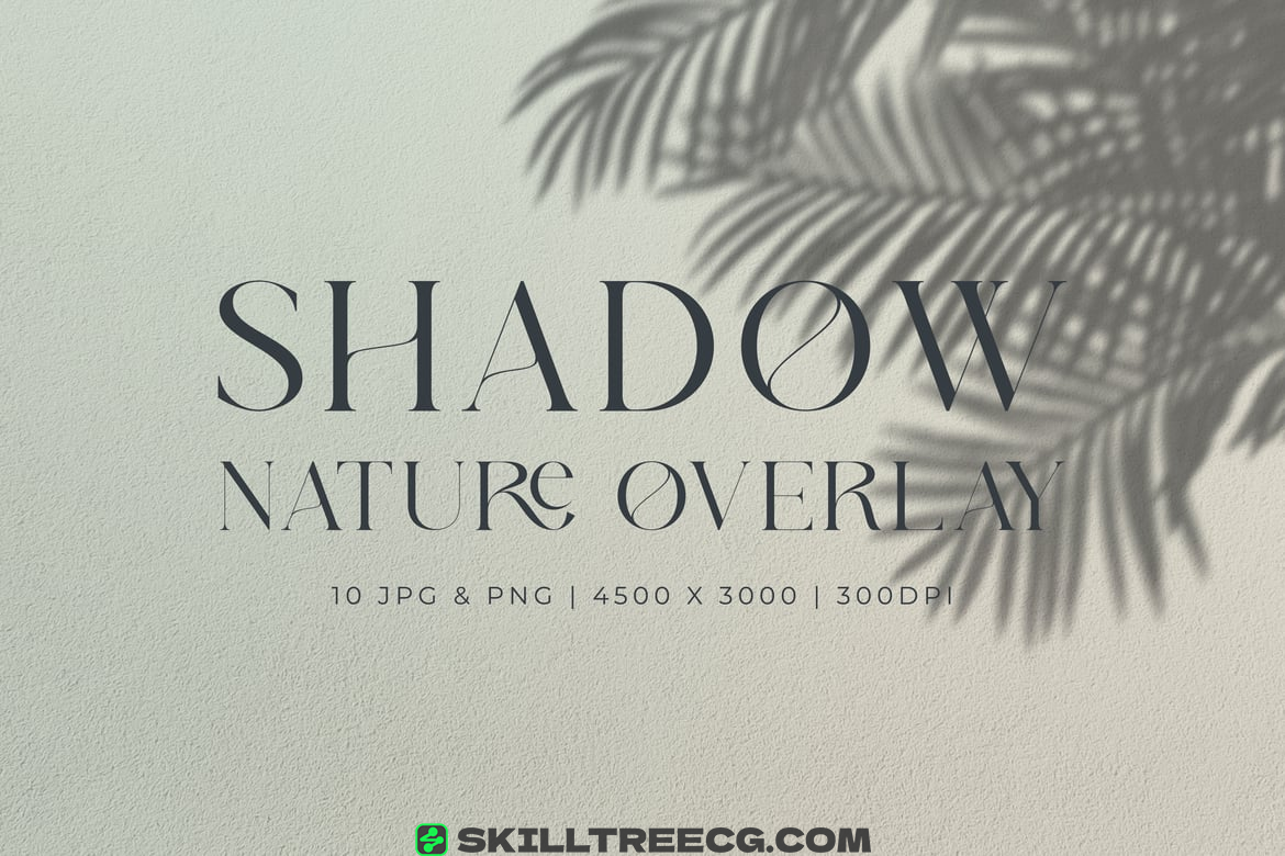Shadow Overlay（886850）-技能树